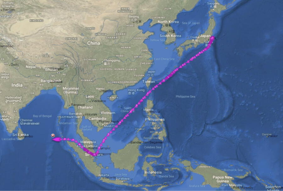 Ais Blackspot Management - Big Ocean Data