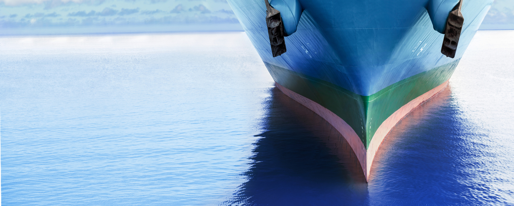 Preview image from AIS Vessel Tracking &amp; Route Optimisation Platform | BigOceanData